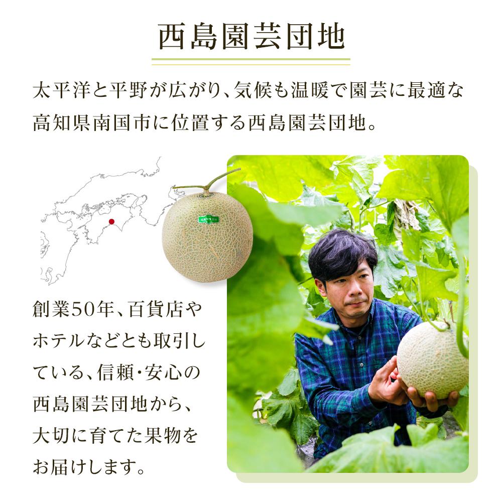 家庭用マスクメロン 1個 2個 3個 4個 1玉 2玉 3玉 4玉 フルーツ 果物 くだもの 食品 デザート 訳あり 高評価 人気 おすすめ 旬 産地直送 ふるさと納税メロン 西島園芸団地 高知県 南国市 NE021 NE001 NE026 NE022
